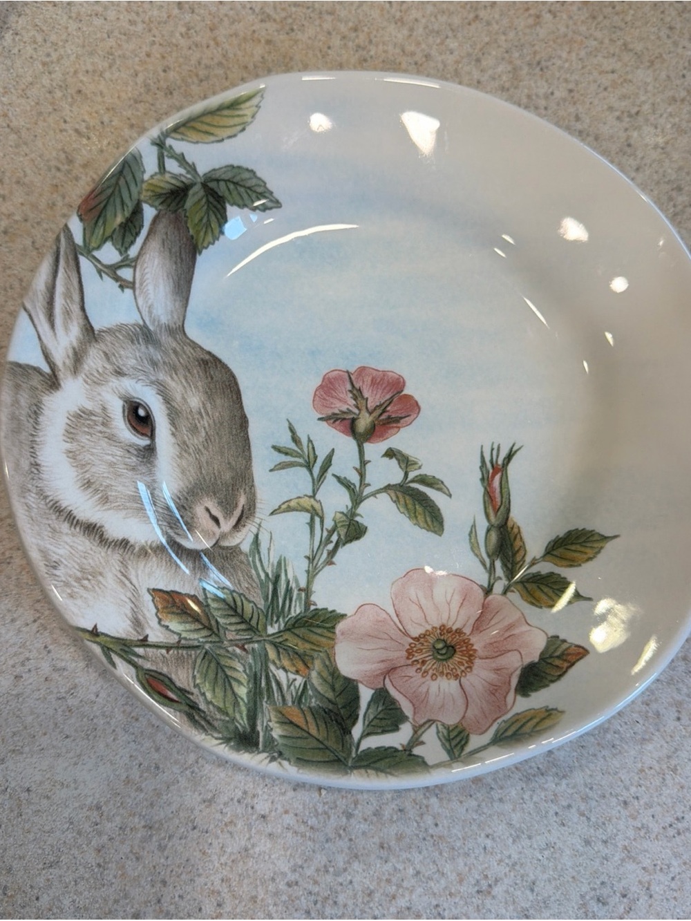Spring Bunny Effetti Ceramic Dinner Plate - Pink Floral